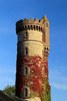 Clad Prints: Ivy clad tower in France - French Castle tower - Rapunzel
