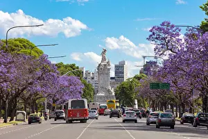 Buenos Aires Prints: Jacaranda trees in spring on Avenue Sarmiento. Palermo, Buenos Aires, Argentina
