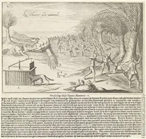 Gold Coast Prints: Jacht op olifanten en andere dieren Beschrijving van de goudkusten van Guinea (serietitel)