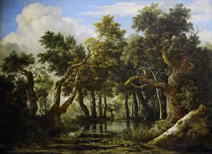 Saint Petersburg Prints: Jacob van Ruysdael (c.1628-1682)