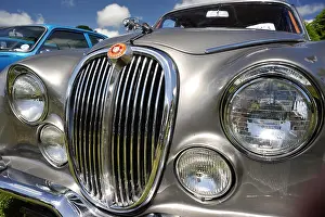 Grille Prints: Jaguars type front grille and bonnet