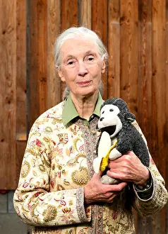 Institute Prints: Jane Goodall, Anthropologist stands with her stuffed monkey Mr H