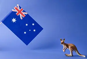 Poppy Prints: January 26 is Australia Day or Anzac Day