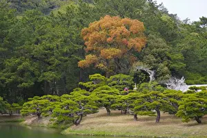 Shikoku Prints: Japan, Shikoku, Takamatsu, Ritsurin-koen, garden