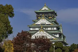 Osaka Prints: Japanese castle with green roof tiles and autumn trees, Osaka, Japan