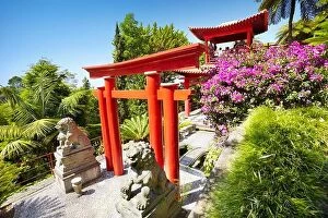 Images Dated 1st July 2013: Japanese japan oriental tropical garden - Monte, Madeira Island, Portugal