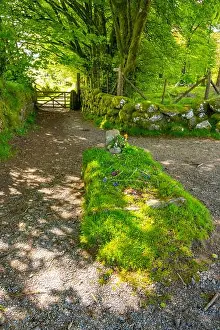 Sight Seeing Prints: Jay's Grave (or Kitty Jay's Grave) near Manaton Dartmoor Devon