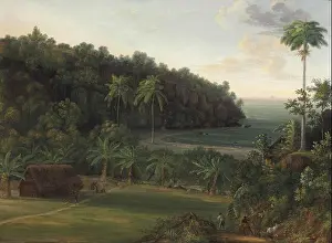 Jenny Prinssay - View of a bay on the island of Martinique (1814)