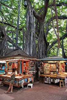 Honolulu Prints: Jewelry Stalls and Giant Banyan Tree in the International Market Place in Waikiki