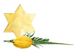 Jewish symbolic plants for Sukkot holiday with yellow gold star of David watercolor illustration. Four species