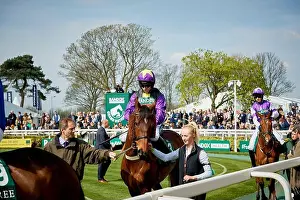Race Prints: Jockeys at The Grand National making their way around the parade ring pre race which is held annually at Aintree
