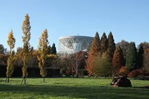 Observatory Prints: Jodrell Bank Arboretum, England