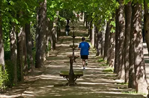 Jogging Prints: Jogging in the Retiro Park, Madrid, Spain