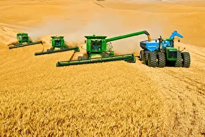 Mature Prints: Three John Deere combines in tandem harvest wheat while one unloads into a grain cart “on-the-go” / Pullman