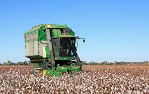 Mature Prints: John Deere cotton harvesting machine. Narrabri, western plains NSW, Australia