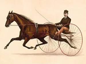 Johnston The Champion Pacer 1889 Driven by P. V, Johnston