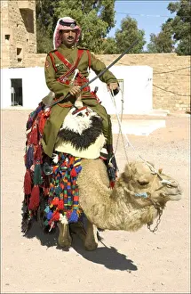 Jordanian Prints: Jordanian Dessert police Officer on Camel, Petra Jordan