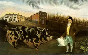 Farm Animals Prints: Joseph Lawton's Midland Pig