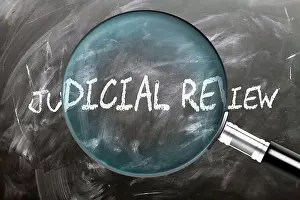 Examine Prints: Judicial Review - learn, study and inspect it