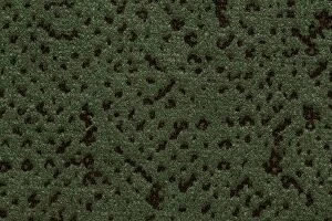 Images Dated 15th February 2018: Just clean fabric texture in dark colour