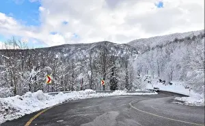KARTEPE, KOCAELI, TURKEY. Beautiful winter landscape. Winter snowy forest with road