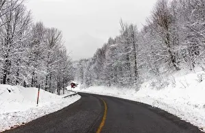 KARTEPE, KOCAELI, TURKEY. Beautiful winter landscape. Winter snowy forest with road