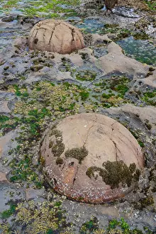 Spherical Prints: Katiki Boulders on Shag Point, New Zealand