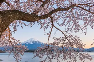 Kawaguchi Lake, Japan at Mt. Fuji in the evening during the spring