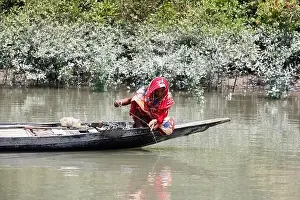 Mangrove Forest Prints: Khulna, Bangladesh - April 13, 2024: The Sundorbons is the largest mangrove forest in the world
