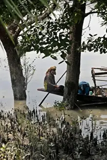 Khulna, Bangladesh - April 13, 2024: The Sundorbons is the largest mangrove forest in the world