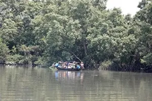 Mangrove Forest Prints: Khulna, Bangladesh - April 13, 2024: The Sundorbons is the largest mangrove forest in the world