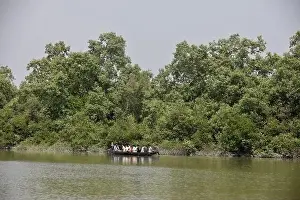 Mangrove Forest Prints: Khulna, Bangladesh - April 13, 2024: The Sundorbons is the largest mangrove forest in the world