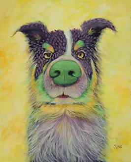 Shepherd Prints: King Cake