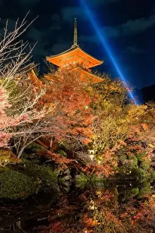Water Reflection Prints: Kiyomizu-dera Temple pagoda & autumn leaves illuminated at night in Kyoto for special viewing