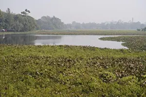 West Bengal Prints: Kolkata, India. 27 December, 2025