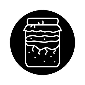 Kombucha homemade tea in jar color line icon. Japanese fermented product