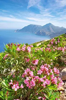 Kos - Dodecanese Islands, Greece, view of the Krikello Cape