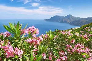 Kos - Dodecanese Islands, Greece, view of the Krikello Cape