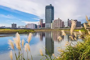 Kumamoto, Japan downtown cityscape on the Shirakawa River in the afternoon