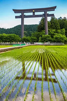Kinki Prints: Kumano Kodo pilgrimage route. Otorii