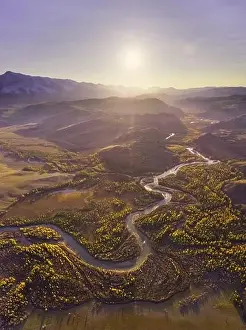 Siberia Prints: Kurai Steppe, Chuya River, Yellow Larches and Mountains at Sunset in Autumn