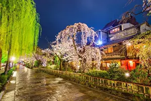 Inns Prints: Kyoto, Japan at the historic Shirakawa District during the spring season