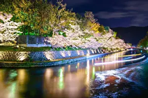Kyoto, Japan on the Okazaki Canal during the spring cherry blossom season