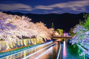 Kyoto, Japan on the Okazaki Canal during the spring cherry blossom season