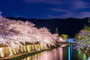 Kyoto, Japan on the Okazaki Canal during the spring cherry blossom season at night