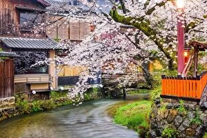 Images Dated 7th April 2017: Kyoto, Japan along Shirakawa Dori Street in the spring season