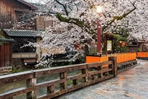 Images Dated 7th April 2017: Kyoto, Japan along Shirakawa Dori Street in the spring season