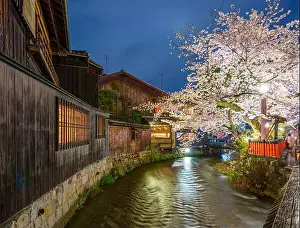 Kyoto, Japan at the Shirakawa River during the spring cherry blosson season at night