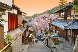 Tree Prints: Kyoto, Japan springtime in the historic Higashiyama district art dawn