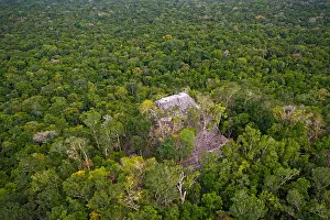 Mexico Prints: La Danta Complex; El Mirador, Guatemala